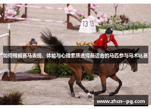 如何根据赛马表现、体能与心理素质选择最适合的马匹参与马术比赛 如何根据赛马表现、体能与心理素质选择最适合的马匹参与马术比赛