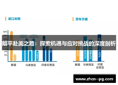 朗平赴美之路：探索机遇与应对挑战的深度剖析