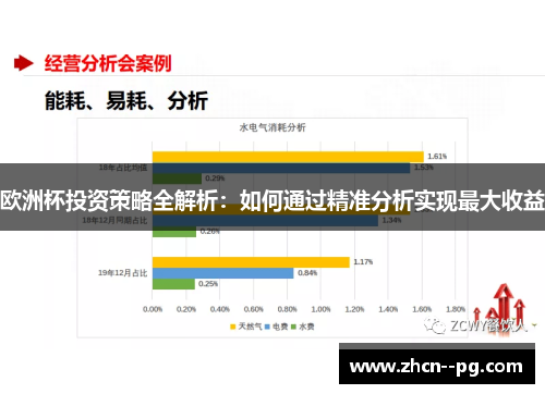 欧洲杯投资策略全解析:如何通过精准分析实现最大收益 欧洲杯投资策略全解析:如何通过精准分析实现最大收益