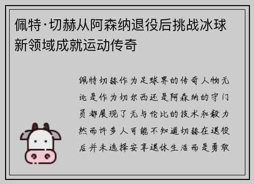 佩特·切赫从阿森纳退役后挑战冰球新领域成就运动传奇 佩特·切赫从阿森纳退役后挑战冰球新领域成就运动传奇