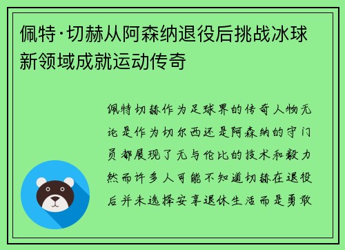 佩特·切赫从阿森纳退役后挑战冰球新领域成就运动传奇 佩特·切赫从阿森纳退役后挑战冰球新领域成就运动传奇